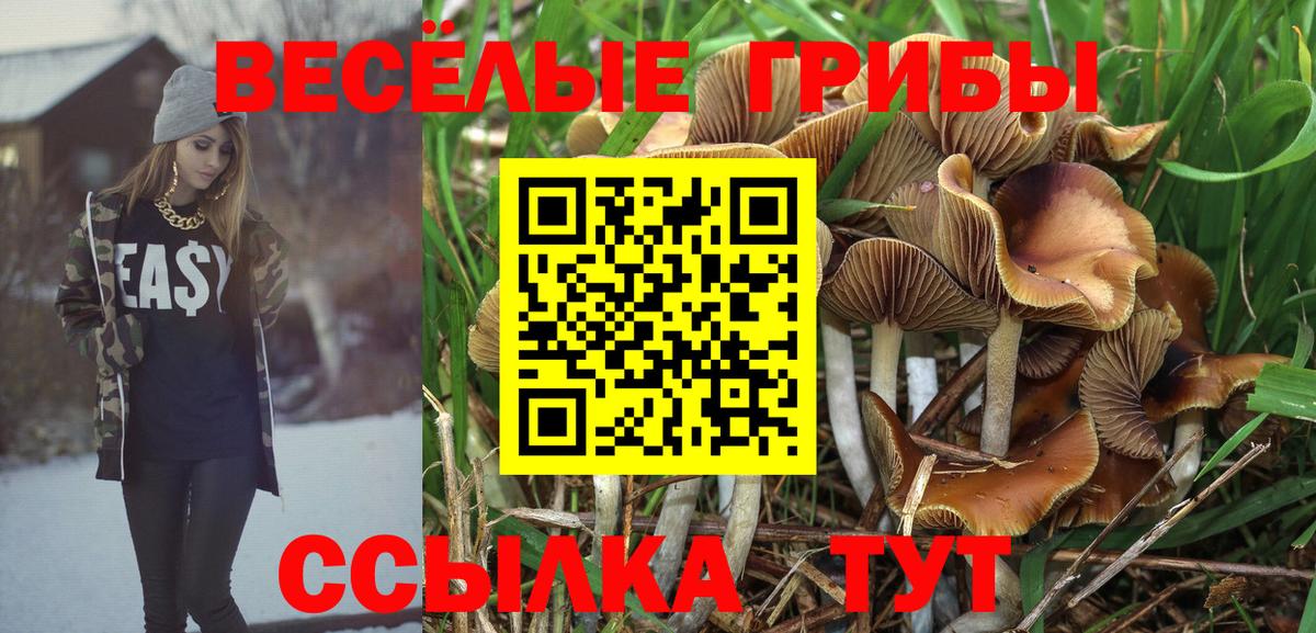 A-PVP Городец