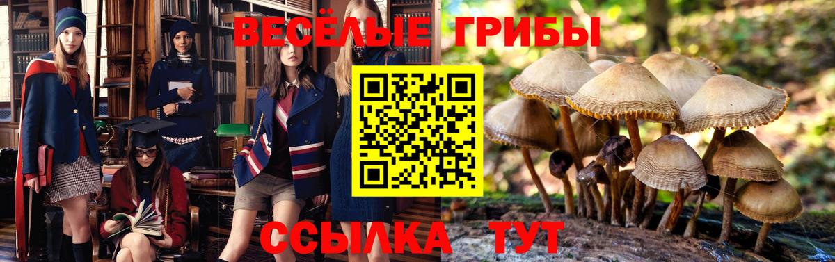 купить закладку  Вход с VPN  Городец  Галлюциногенные грибы GOLDEN TEACHER  Галлюциногенные грибы мухоморы 